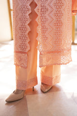 Meemzey - Ready To Wear 3 pc Lawn Embroidered Suit - MZ-1025
