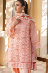 Meemzey - Ready To Wear 3 pc Lawn Embroidered Suit - MZ-1023